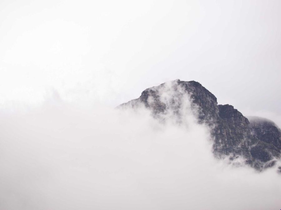 Фото объявления 4