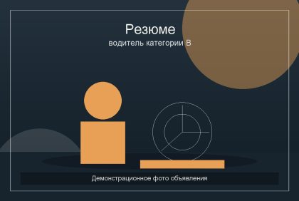 Демо: Резюме водителя категории B