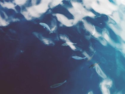 Ремонт и настройка техники