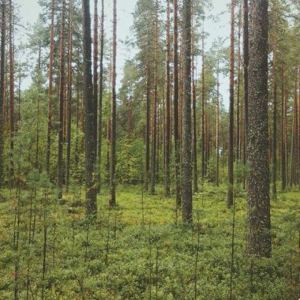 Кресло для чтения, со склада